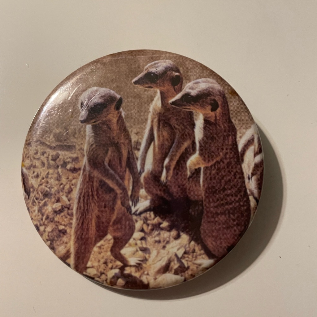 Meerkat Button